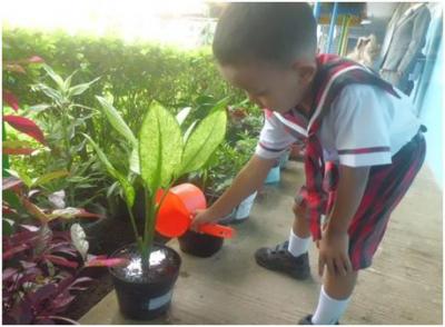 Tk St Carolus Bengkulu Penghijauan Lingkungan Sekolah Green Prinsipnya Tuhan